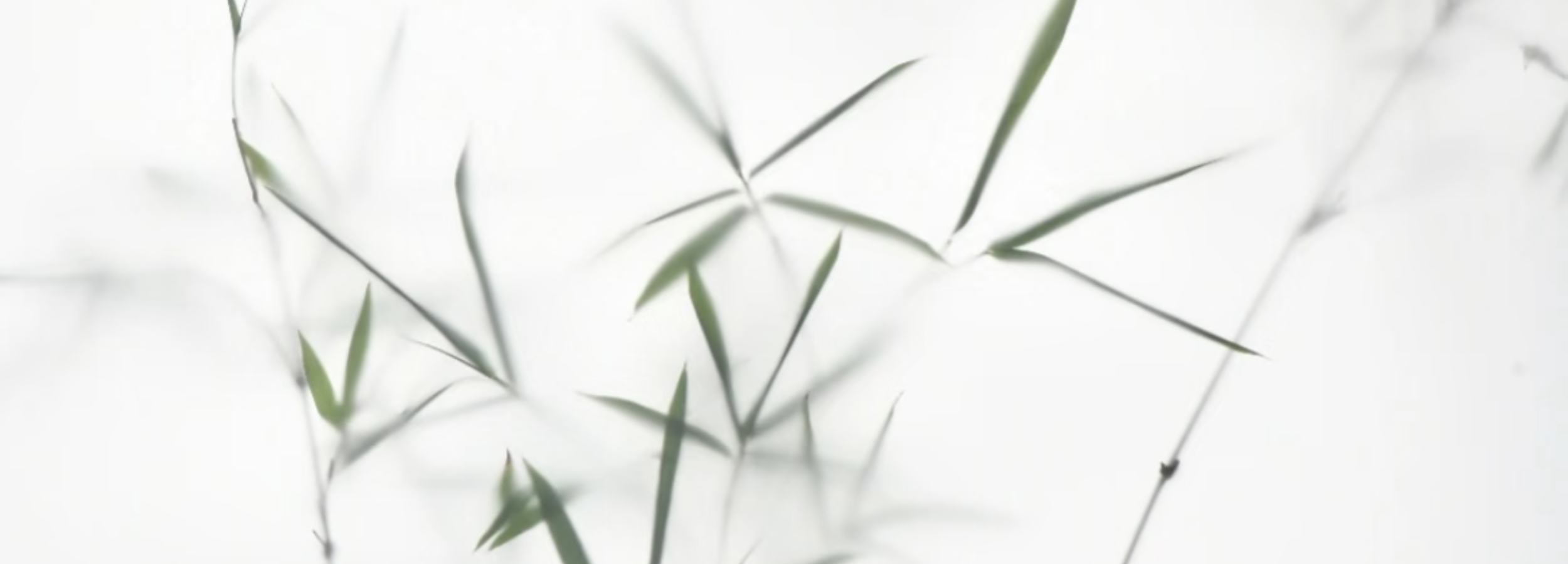 untable Chinese bamboo background